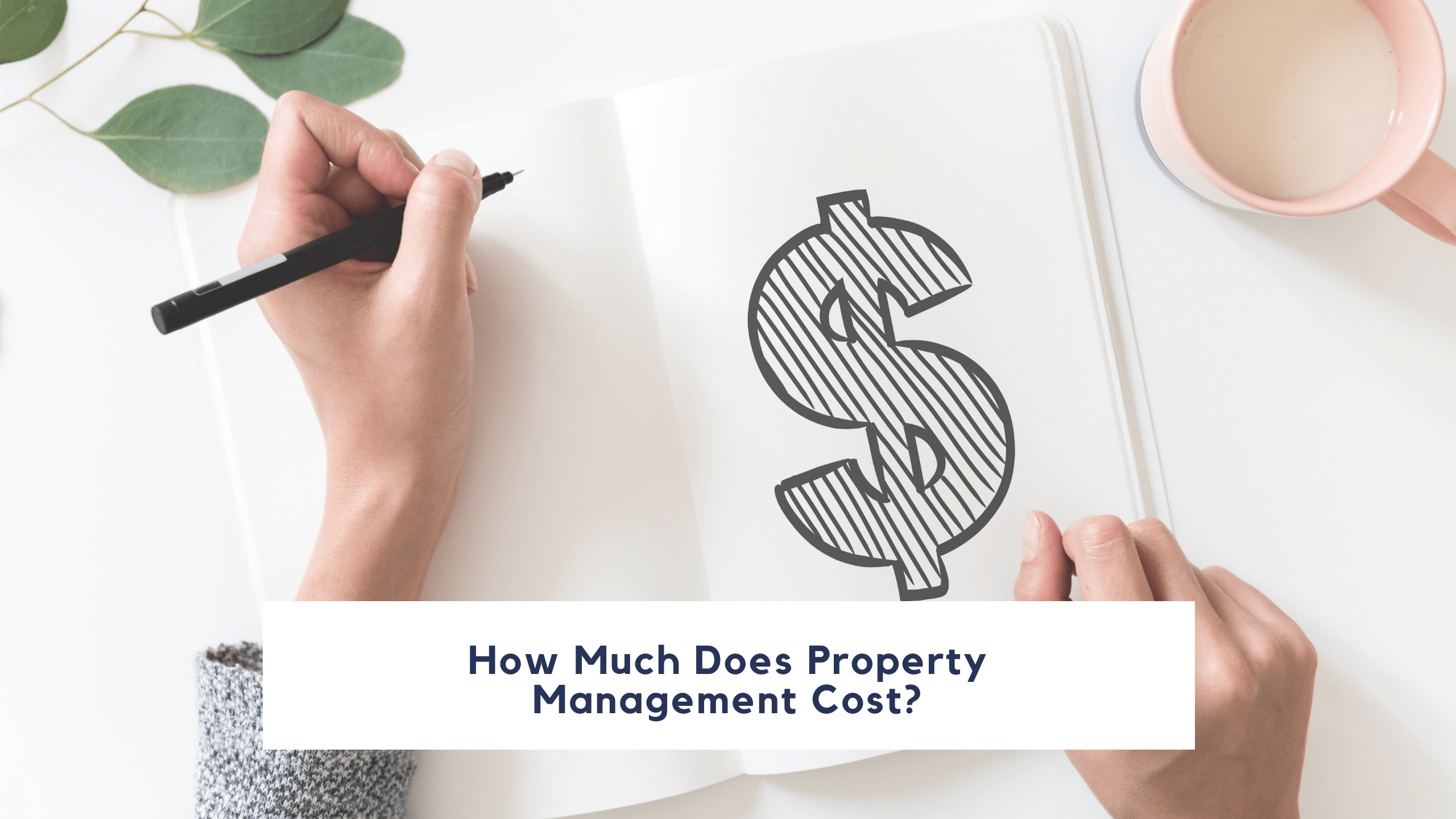 How Much Does San Jose Property Management Cost?